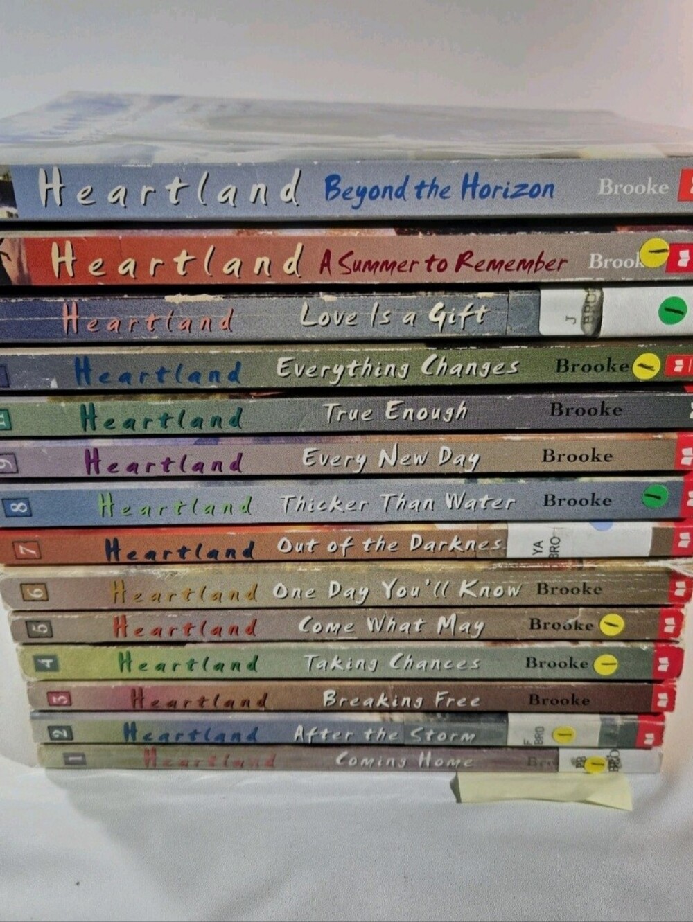 Heartland Book Collection in Multicolor